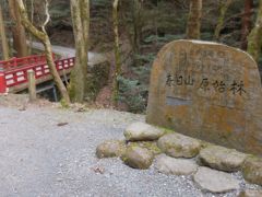 　春日奥山原始林も世界遺産の一部です。入口から６ｋｍ、赤い橋は鶯の滝に向かう脇道まで来ました。