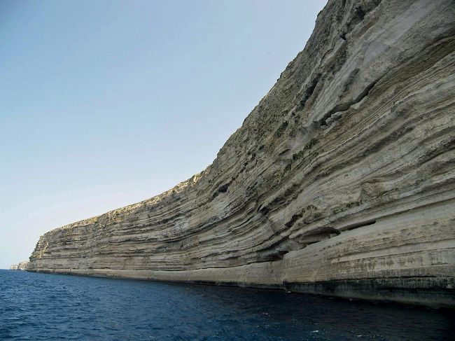 巨大な龍がうねるような姿にも見えます。