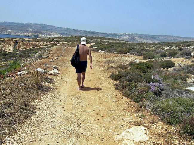 少し島の中を歩いてみます。