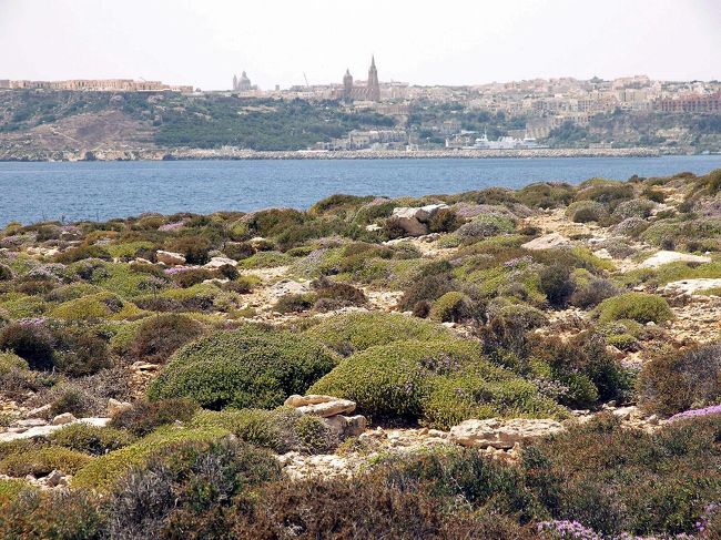 対岸のゴゾ島を望む事が出来る風景です。