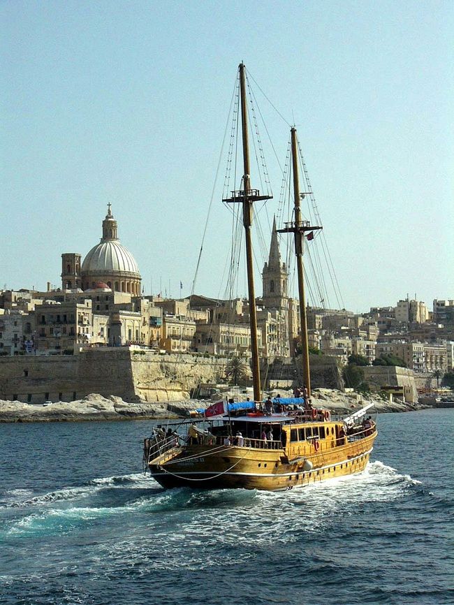 残念ながら逃げ切られました。