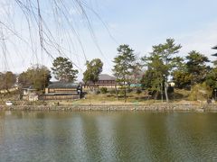 　猿沢の池越しに見た興福寺。代表的な奈良の写真スポット。