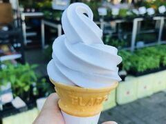 道の駅池田ハーブセンターでハーブソフト食べました。
さっきチーズタルト食べたばっかりなので小サイズですが、食べ応えあります。
小サイズで150円だけど、この大きさでこのお値段は嬉しいです(*^▽^*)

ハーブの苗などとてもお買い得価格なので、帰りにまた寄らせてもらいますw