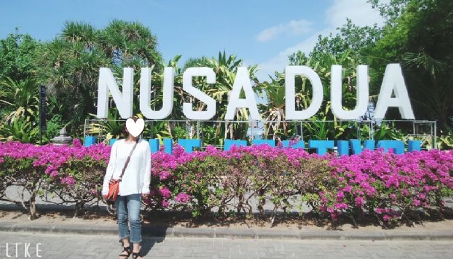 公園が見えてきます