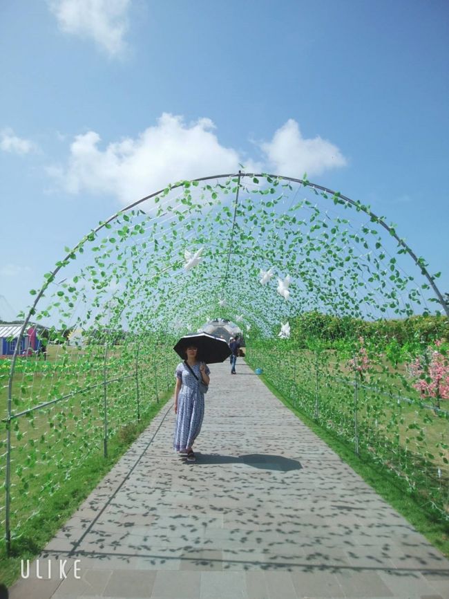 公園内には不思議な飾り付けが<br />全部ビニールです<br /><br />屋台が出てるとの事でしたが<br />屋台はありましたがみんな閉まっていました