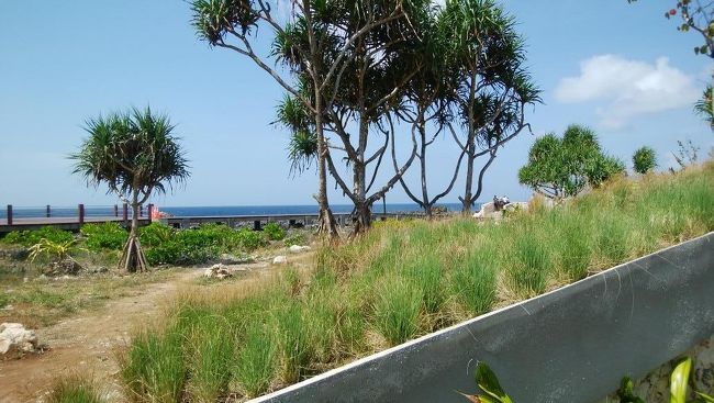 外からも波しぶきが見られました