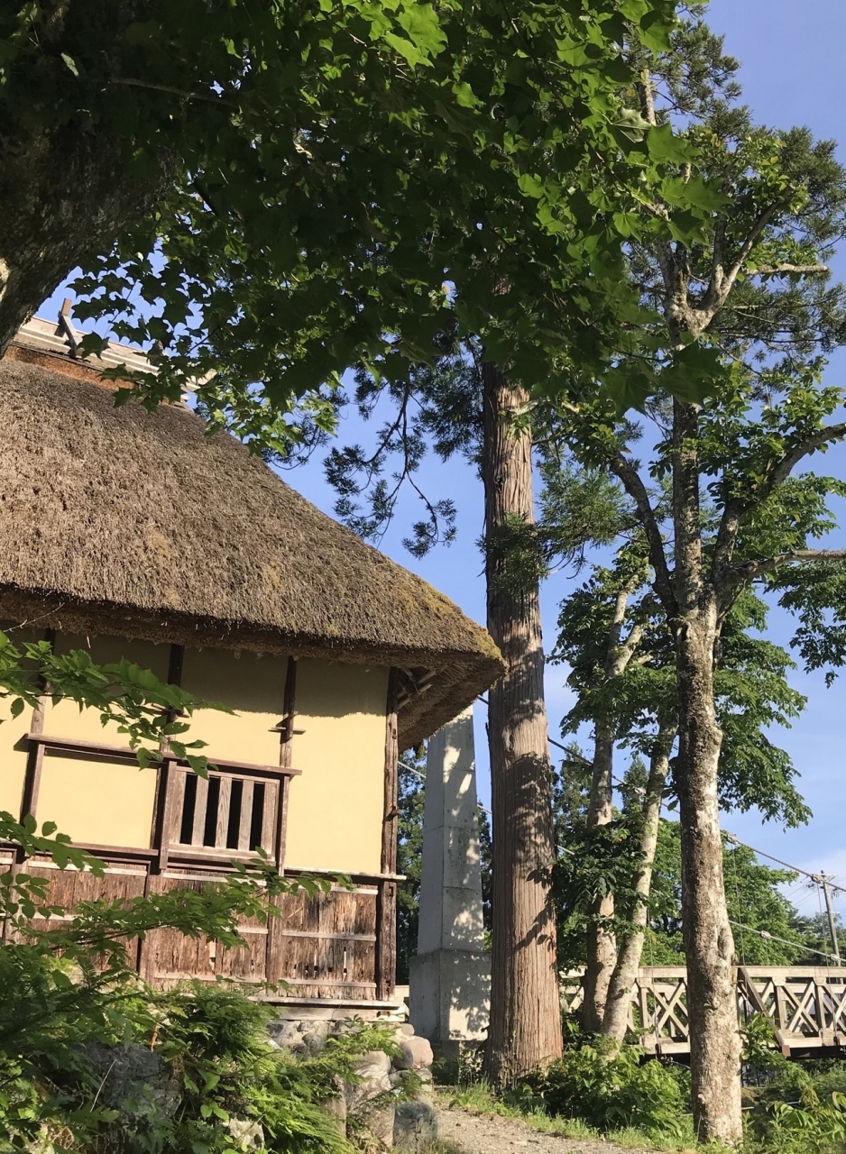 吊橋の手前には藁葺屋根の売店がありました。
売店も藁葺なので、景色に馴染んでいますｗ