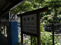 歩いて江ノ電　極楽寺駅　このあたりの紫陽花少し疲れ気味なので
極楽寺の写真なし