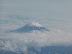 雪をいただいた富士山
