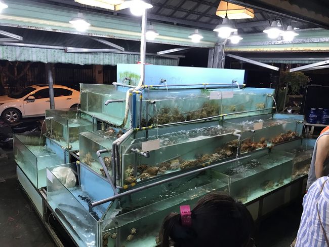 生簀もあります。