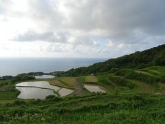 さて、次は東後畑棚田。季節的に、田んぼには水が張ってるだろうから、夕焼け時は美しいはず。山道が少しだけ開けたところに駐車スペースがあり、立派なカメラと三脚を持った人々が集まってきます。