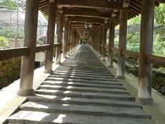 登廊
長谷寺の代表的なところですね。百八間、三九九段あるそうです。