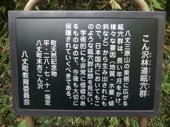 9:47
「こん沢林道甌穴群」又の名を「ポットホール」に着きました。
2016年、末吉の森の奥深くにある「ポットホール」は八丈町の天然記念物に認定されました。

ところで、「ポットホール」って何？
～と思いますよね。
次の画像をご覧下さい。