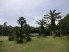 八丈島植物公園には、亜熱帯に生息している南国の植物をメインに1000種.400株が展示されています。
園内ではキョンが飼育されており、間近で観察することもできます。