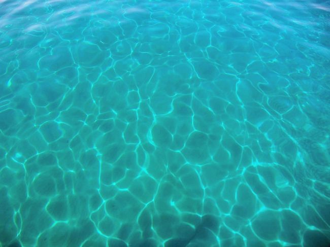 透明感がありすぎて魚がいないのが分かります。