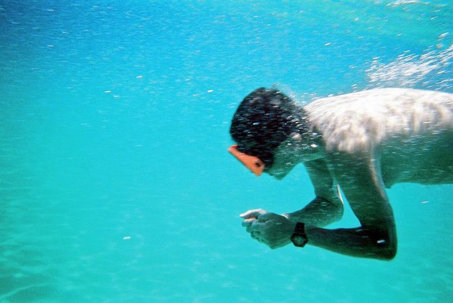潜ってもこんな色の水です。ただ魚の影はほとんどありません。