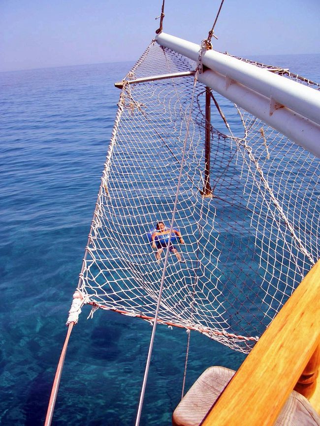 網に捕まったタコみたいです。