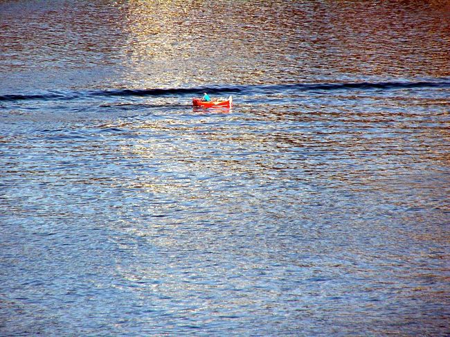 湾内は鏡のような水面ですが、たまに大きな船が横切ると小さなボートはユラユラ揺れます。