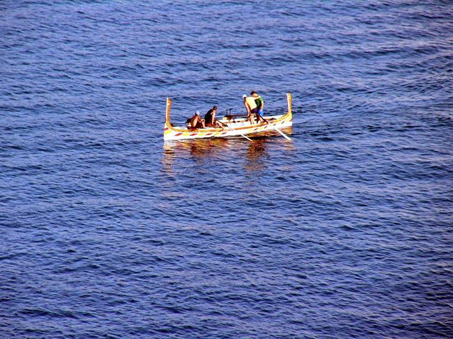 レガッタの練習中です。マルサイムシェット・ハーバーではレガッタが盛んで、ＮＨＫの番組でも紹介されていたのを見た記憶が蘇ります。