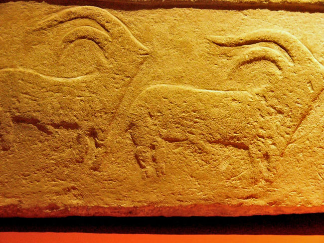 これらは犠牲獣でもあるので宗教的な意味合いがあるのかも知れません。島の外から連れてこられたのだと思います。早めに博物館の見学を終えてバスターミナルに向かいます。