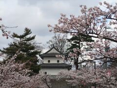 ほろ酔い、を少し過ぎた状態で新発田城址へ。