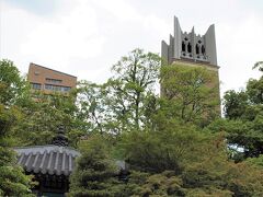 大隈庭園からは目の前に早稲田大学大隈記念講堂の時計塔が見えます。
この時計塔は７階建てだそうです。

