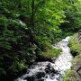 １泊２日ツアー（３）－軽井沢白糸の滝（長野）から奥軽井沢温泉のホテル（群馬）へー