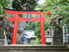 目の前は白浜神社
伊豆最古の神社
ピカピカに磨き上げている