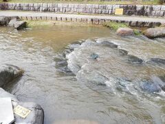 【しあわせの青めのう】
残念ながら水没。