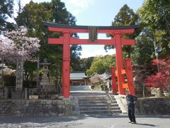 　龍田大社の朱塗りのあざやかな鳥居