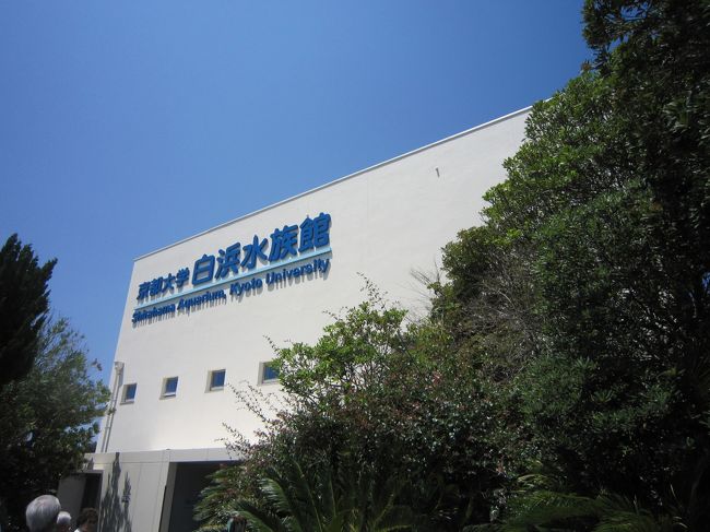 和歌山 ４ 白浜水族館 とれとれ市場 闘鶏神社 湯浅丸新本家 南紀白浜 和歌山県 の旅行記 ブログ By Kubochanさん フォートラベル
