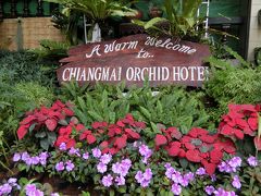 チェンマイ・オーキッドホテルは古いが格式のあるホテル、1991年には上皇陛下と上皇后陛下が宿泊され、秋篠宮様も来訪されています。
オーキッドとは「蘭」のこと。このホテルは「チェンマイ・蘭ホテル」ということなんですね。