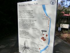 途中、Fitzroy Fallsという場所が有名らしいので寄ってみます。