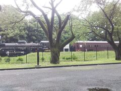小金井公園に入りました。
蒸気機関車が無造作に展示されている、もうすぐ江戸東京たてもの園だ。