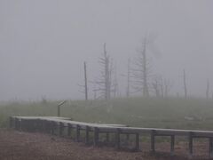 やがて、霧の中にナラワラが見えてきます。

こちらはトドワラ以上に荒涼とした風景を演出します。