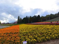 とみたメロンハウスを出てしばらく走ったら、中富良野の道路すぐ脇にきれいな花畑があったので、写真撮影で寄ってみました。