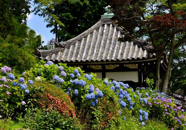 2024人気新作 問柳尋花 Part1（山門～開山堂）』京都の旅行 京都西山①善峯寺 絵葉書