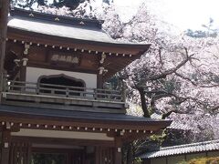 円覚寺から東慶寺の前を通り過ぎて
浄智寺まで来ました