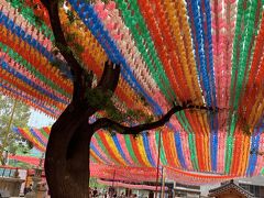 曹渓寺。

燃灯祝祭の直後でまだ提灯が残ってます。
