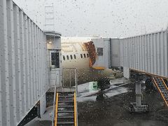 小雨の降る成田空港。
夕方出発のエティハド航空に乗り込みます。

これから、長い、長い旅の始まり。
