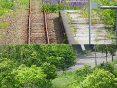 　鹿ノ谷の線路を跨ぐ自由通路から線路跡を見ると・・・ぽやぽやと青々した物が生えてきてる。花はルピナス？早くもレール間際まで侵食が進んでいる。
　反対側。川に架かる鉄橋は、単管でバリケードが張られ立入禁止に。こちら側も青々としてきてる。何年もせずに早々に自然に還ってしまいそうだな。