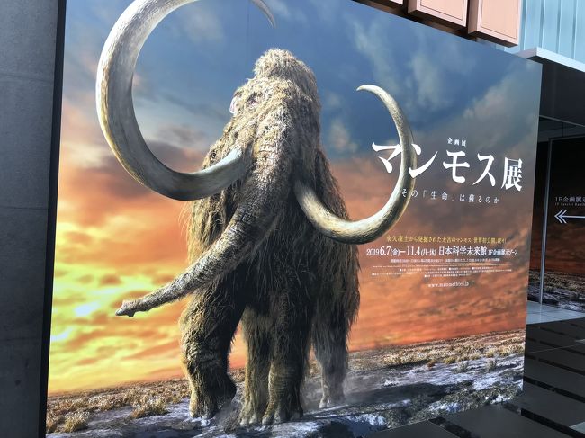 マンモス展　日本科学未来館　～11/4まで　大人2枚 小中高2枚 4枚セット 家族ファミリーで マンモス展 | 日本科学未来館 | 美術館・展覧会情報サイト アート