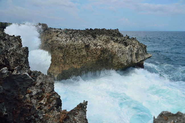 写真はお借りしました<br />こんなのが見られるようです