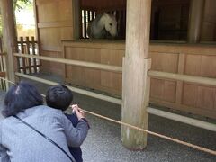 13：00頃
やって来ました
伊勢神宮下宮！
なんと駐車場無料なんですね！
知らなかった・・・。

馬がいます。
ちょっとビビる息子ｗ
