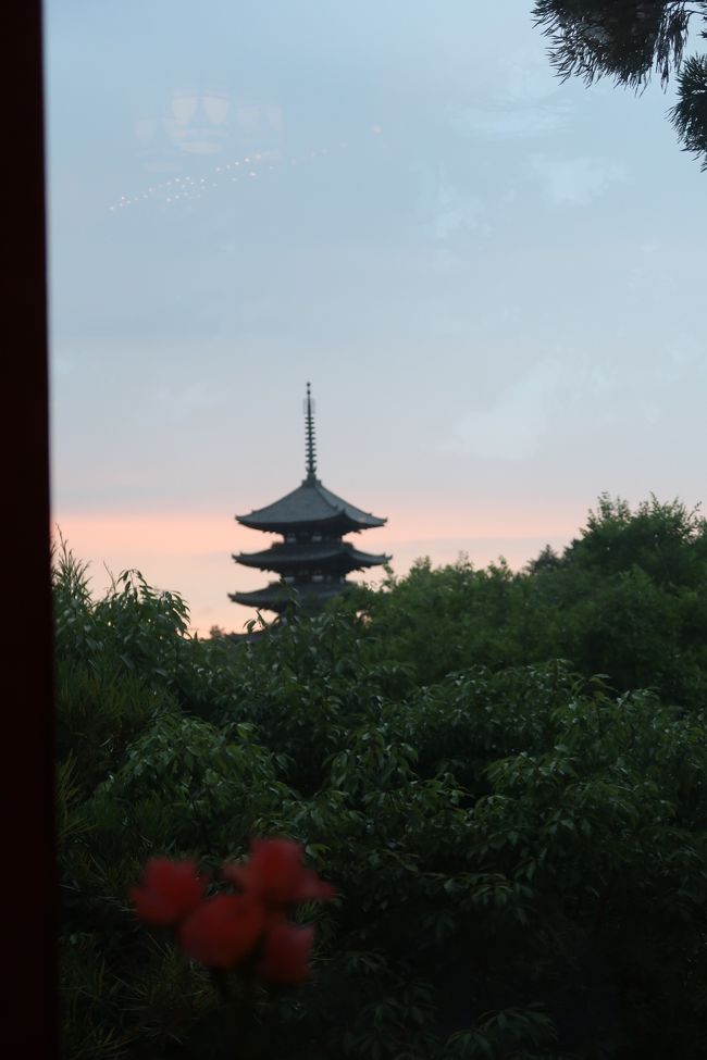 ゆっくりコースをいただいていると徐々に外も夕景に。