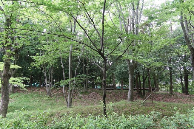 お部屋の窓を開けて外のベランダに出ることができます。<br /><br />この日は日曜日だったこともあり、奈良駅近辺は観光客でごった返していましたがホテルのお部屋はとっても静かで、外は緑溢れてのんびりゆったりできました。<br /><br />ただ、窓を開放しておくと動物が入ってきてしまうので開けっ放しにはしないでください、と注意書きがありました。