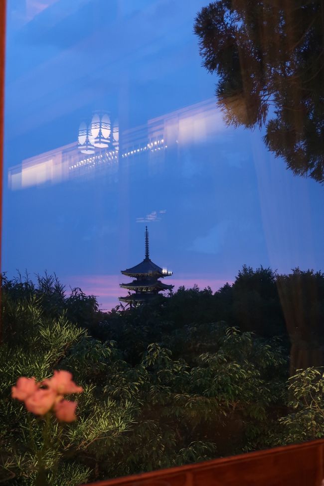 メインを食べ終わる頃にはすっかり暗くなってきました。<br />この時期、大仏池には大仏蛍が飛ぶと聞いたことがあるのでいつか行ってみたいと思っていたのですが、この日は目の前の食べ物に夢中だったのでまたの機会に。