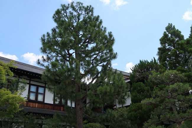 外はなかなか暑いです。