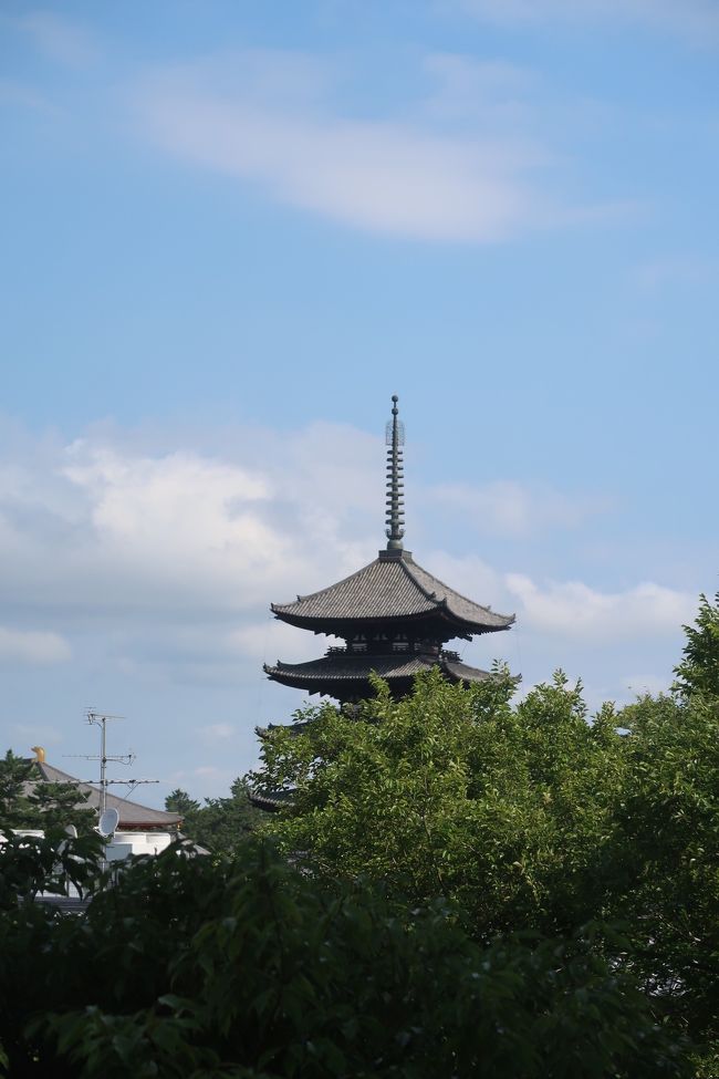朝食へ行くと前日の夜と同じ席へ通されました。<br />五重塔が綺麗に見えます。