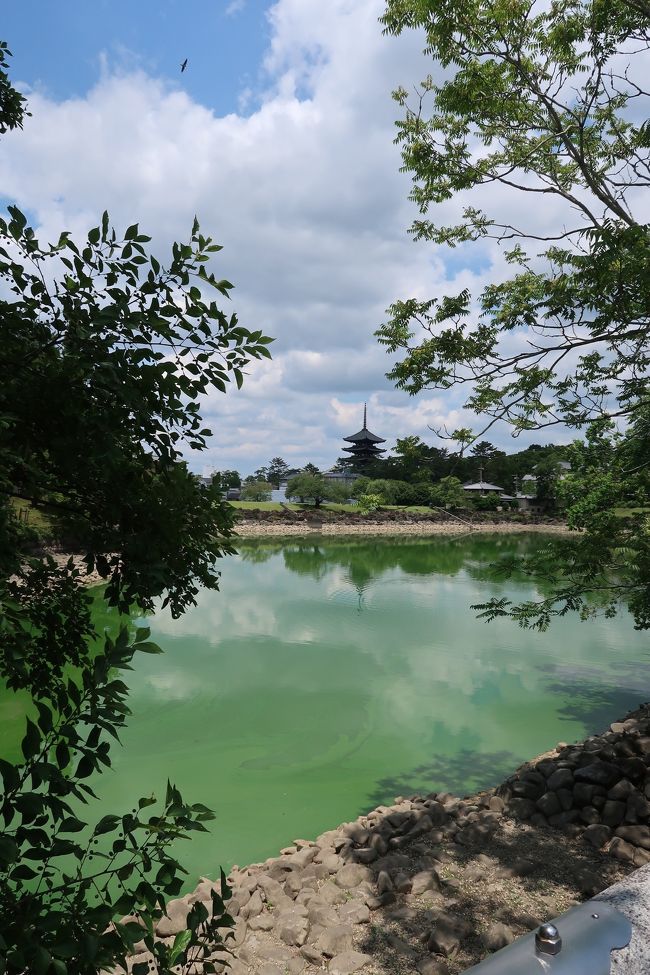 雲も写っています。<br />夏の雲、といった感じ。<br />でも、まだ関西は梅雨入りしていません。